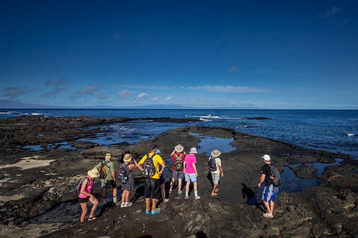Paradisiacal unhabited island